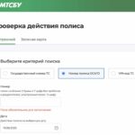 Как проверить страховку авто?